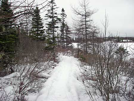 The Bluff Trail
