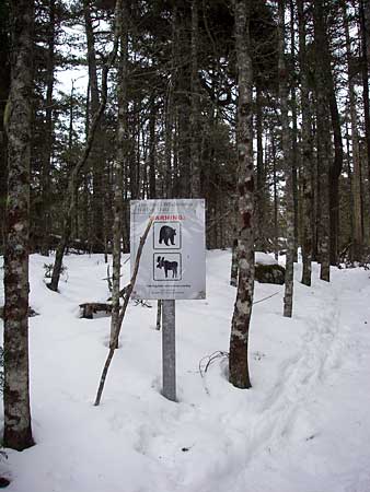 The Bluff Trail
