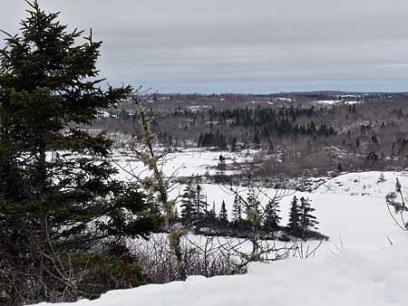 The Bluff Trail