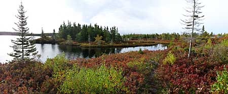 The Bluff Trail