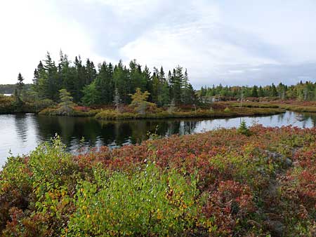 The Bluff Trail