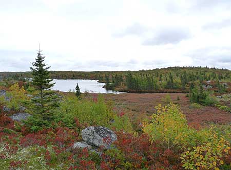 The Bluff Trail