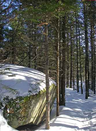 Bluff Trail