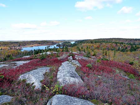 Bluff Trail