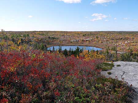 Bluff Trail