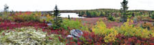 Bluff Trail