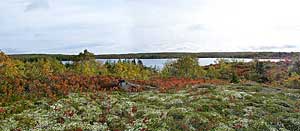 Panorama