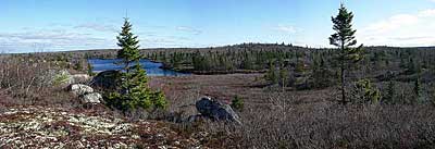 Panorama