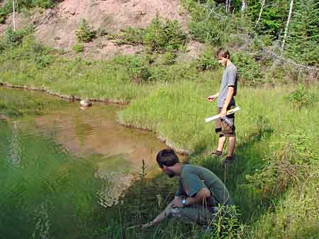 pond