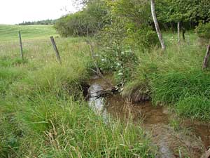 Shaw Brook
