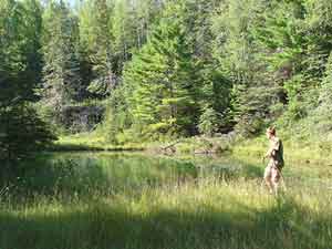 pond