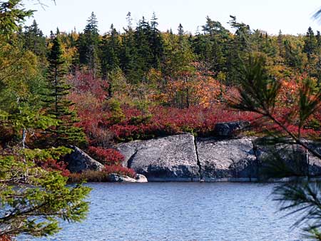 The Bluff Trail