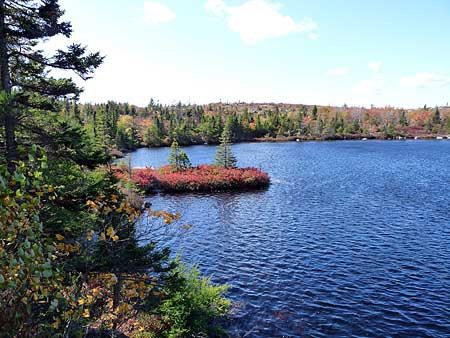 The Bluff Trail