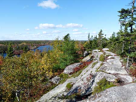 The Bluff Trail