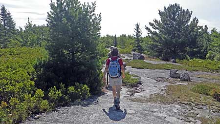 The Bluff Trail