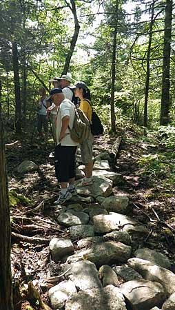 The Bluff Trail