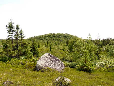 The Bluff Trail