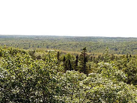The Bluff Trail