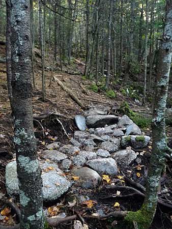 The Bluff Trail