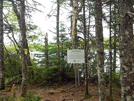 The Bluff Trail