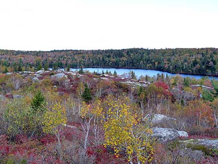 The Bluff Trail