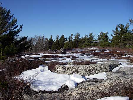 The Bluff Trail