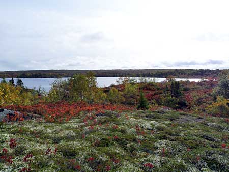 The Bluff Trail