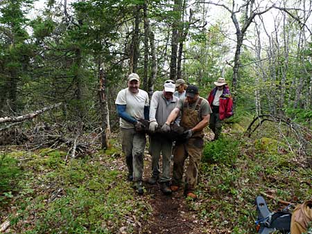 The Bluff Trail