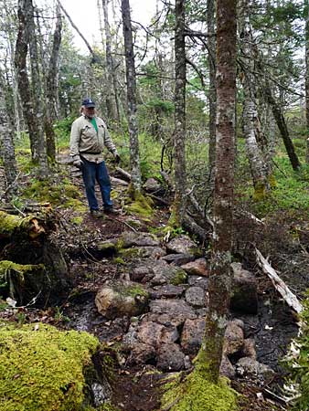 The Bluff Trail
