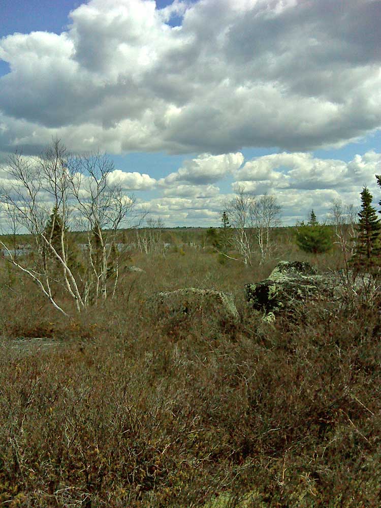 Fen
