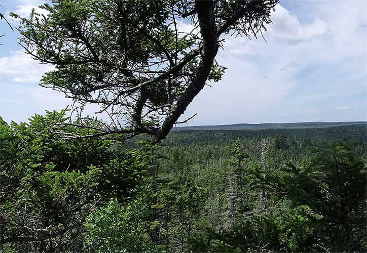 Umlah Hill