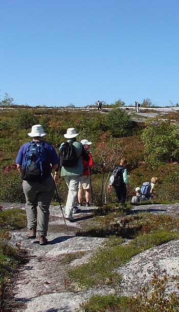 hikers