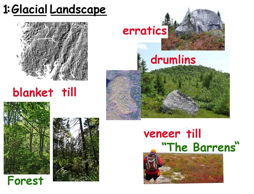 Glacial Landscape
