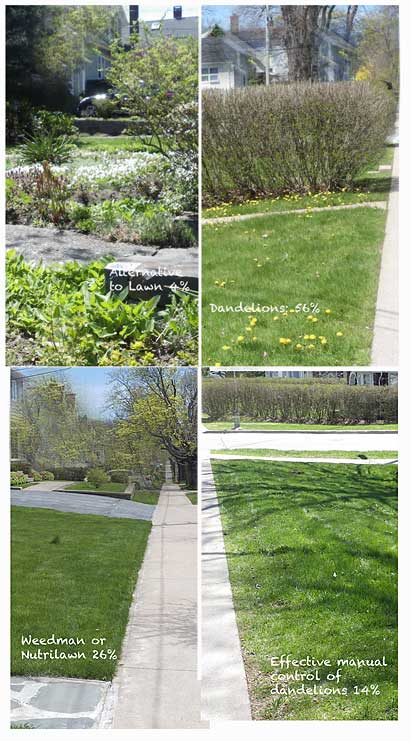 lawns