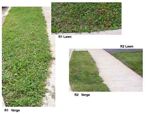 Lawns & Weeds
