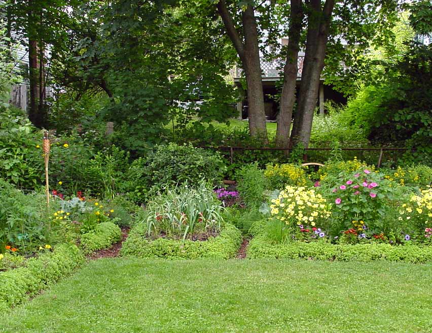 raised beds
