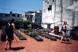 rooftop