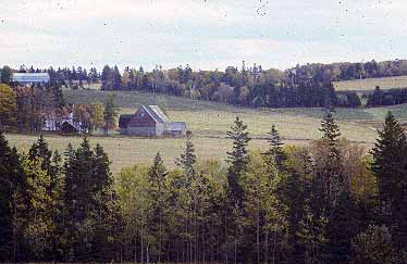 Farm