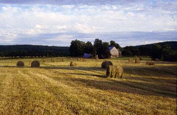 farm