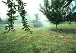 Ground application of pesticides