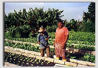 Carlos and Octavio working in the organoponico