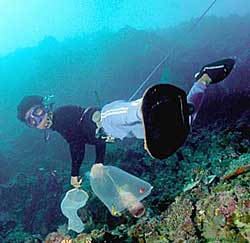 Young boy fishing with cyanide