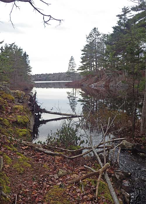 Williams Lake